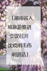 湖南省入境旅游推进会议召开 沈晓明毛伟明讲话