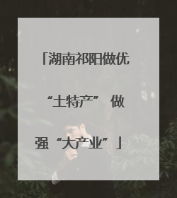 湖南祁阳做优“土特产” 做强“大产业”