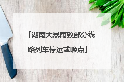 湖南大暴雨致部分线路列车停运或晚点