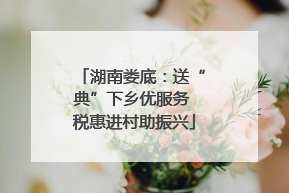 湖南娄底：送“典”下乡优服务 税惠进村助振兴