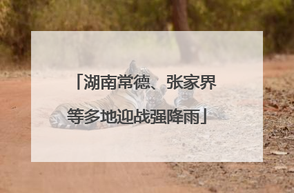 湖南常德、张家界等多地迎战强降雨