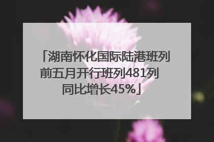 湖南怀化国际陆港班列前五月开行班列481列 同比增长45%
