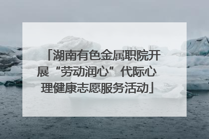 湖南有色金属职院开展“劳动润心”代际心理健康志愿服务活动