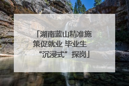 湖南蓝山精准施策促就业 毕业生“沉浸式”探岗