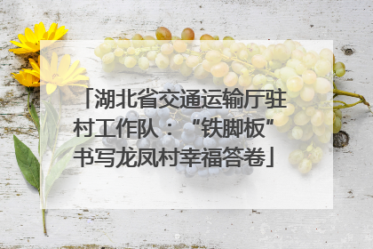 湖北省交通运输厅驻村工作队：“铁脚板”书写龙凤村幸福答卷