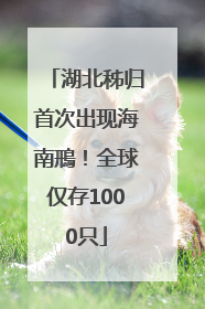 湖北秭归首次出现海南鳽！全球仅存1000只