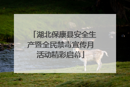 湖北保康县安全生产暨全民禁毒宣传月活动精彩启幕