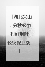 湖北兴山：分秒必争 打好烟叶救灾保卫战