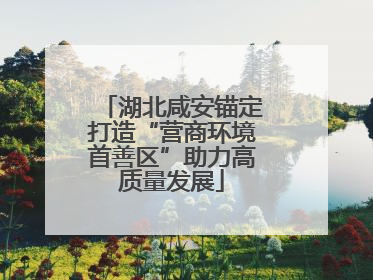 湖北咸安锚定打造“营商环境首善区”助力高质量发展