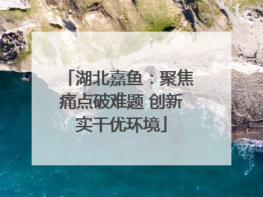 湖北嘉鱼：聚焦痛点破难题 创新实干优环境