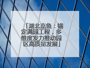 湖北嘉鱼：锚定满园工程，多维度发力推动园区高质量发展