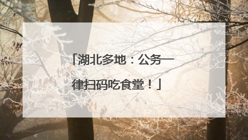 湖北多地：公务一律扫码吃食堂！