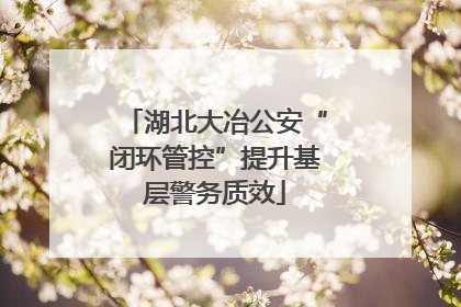 湖北大冶公安“闭环管控”提升基层警务质效
