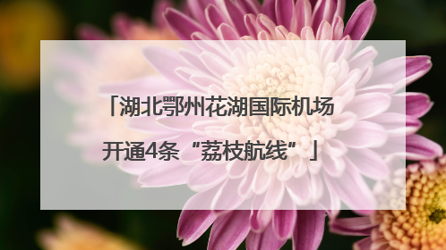 湖北鄂州花湖国际机场开通4条“荔枝航线”