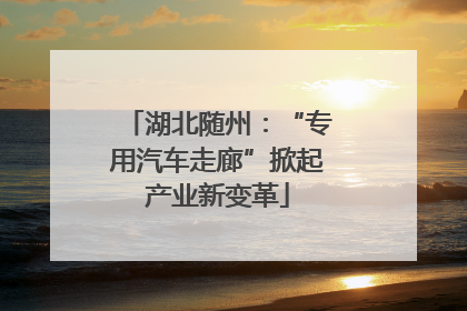 湖北随州：“专用汽车走廊”掀起产业新变革