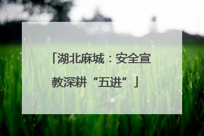 湖北麻城：安全宣教深耕“五进”