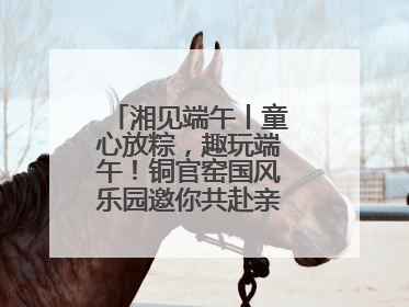 湘见端午丨童心放粽，趣玩端午！铜官窑国风乐园邀你共赴亲子文化盛宴