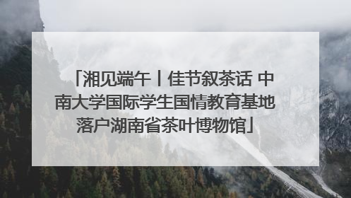 湘见端午丨佳节叙茶话 中南大学国际学生国情教育基地落户湖南省茶叶博物馆