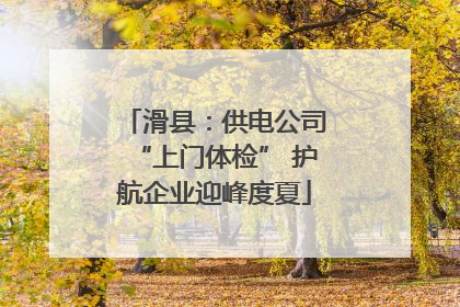 滑县：供电公司“上门体检” 护航企业迎峰度夏