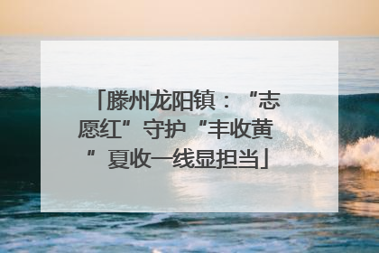 滕州龙阳镇：“志愿红”守护“丰收黄”夏收一线显担当