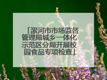漯河市市场监督管理局城乡一体化示范区分局开展校园食品专项检查