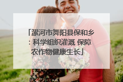 漯河市舞阳县保和乡：科学组织灌溉 保障农作物健康生长