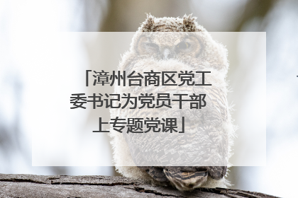 漳州台商区党工委书记为党员干部上专题党课