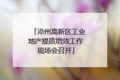 漳州高新区工业地产提质增效工作现场会召开