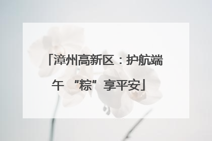 漳州高新区：护航端午 “粽”享平安