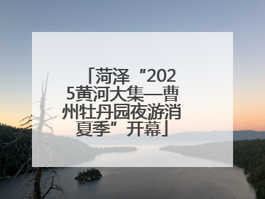菏泽“2025黄河大集—曹州牡丹园夜游消夏季”开幕