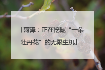 菏泽：正在挖掘“一朵牡丹花”的无限生机