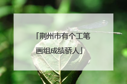 荆州市有个工笔画组成绩骄人