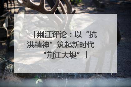 荆江评论：以“抗洪精神”筑起新时代“荆江大堤”