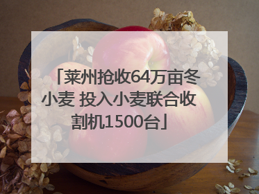 莱州抢收64万亩冬小麦 投入小麦联合收割机1500台
