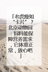 老虎瘦如“卡片”？北京动物园：饲料能保障营养需求，它体重正常，放心吧