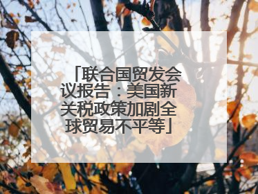 联合国贸发会议报告：美国新关税政策加剧全球贸易不平等