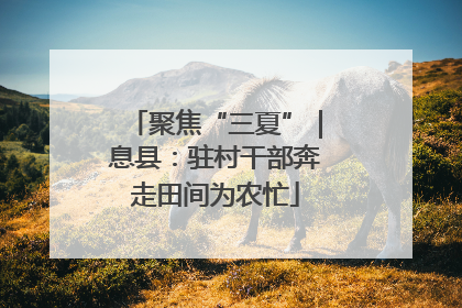 聚焦“三夏”｜息县：驻村干部奔走田间为农忙