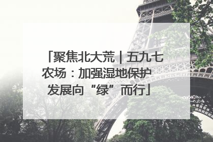 聚焦北大荒｜五九七农场：加强湿地保护 发展向“绿”而行