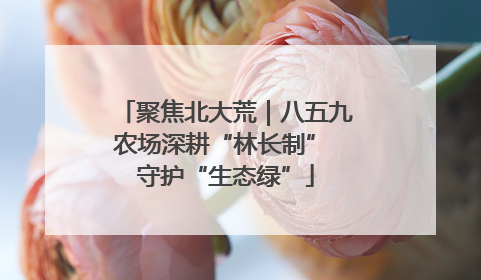 聚焦北大荒｜八五九农场深耕“林长制” 守护“生态绿”