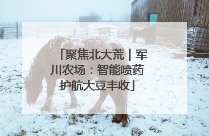 聚焦北大荒｜军川农场：智能喷药护航大豆丰收