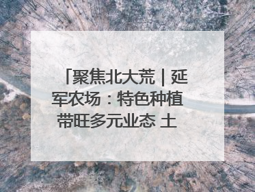 聚焦北大荒｜延军农场：特色种植带旺多元业态 土地焕发新活力