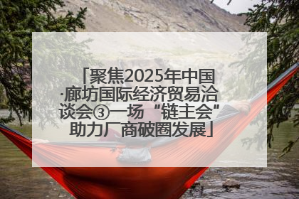 聚焦2025年中国·廊坊国际经济贸易洽谈会③一场“链主会” 助力厂商破圈发展