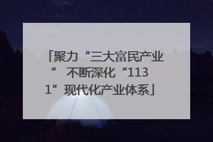 聚力“三大富民产业” 不断深化“1131”现代化产业体系