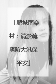 肥城南栾村：清淤疏堵防大汛保平安