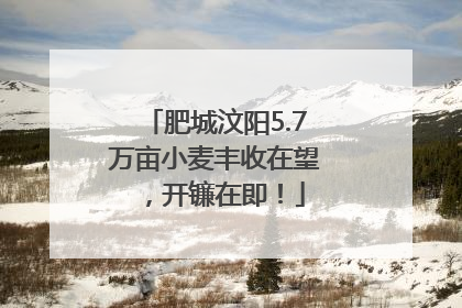 肥城汶阳5.7万亩小麦丰收在望，开镰在即！