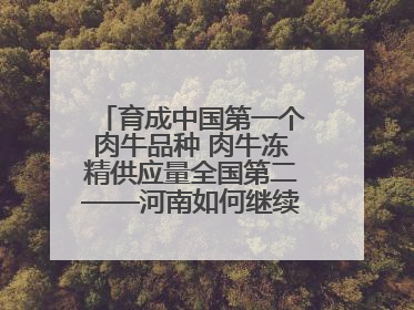 育成中国第一个肉牛品种 肉牛冻精供应量全国第二——河南如何继续牛劲十足