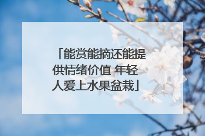 能赏能摘还能提供情绪价值 年轻人爱上水果盆栽