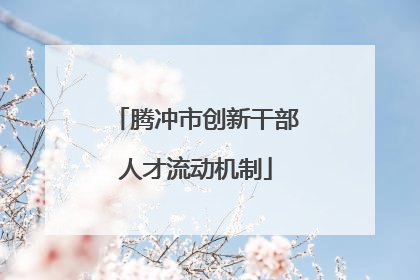 腾冲市创新干部人才流动机制
