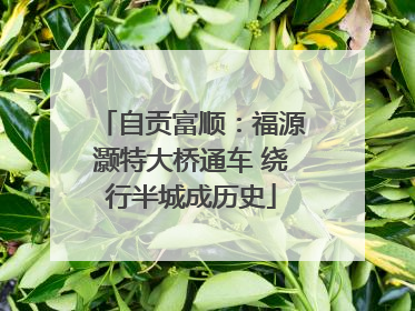 自贡富顺：福源灏特大桥通车 绕行半城成历史