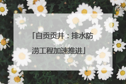 自贡贡井：排水防涝工程加速推进